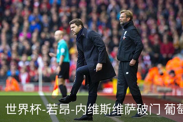 世界杯-若昂-内维斯维萨破门 葡萄牙半场暂1-1民主刚果