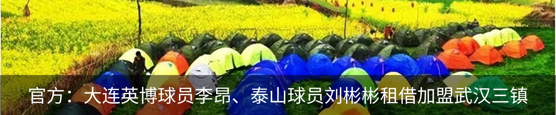 最新动态