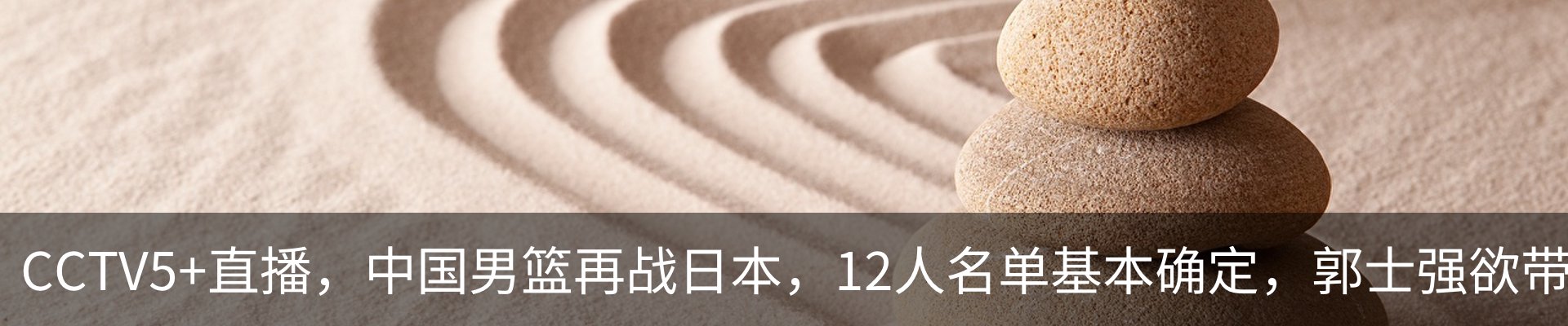 最新动态